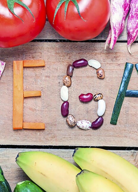 Vegan werden - Herausforderungen meistern