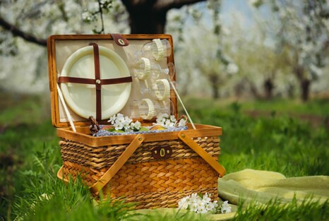 Picknickkorb im Freien