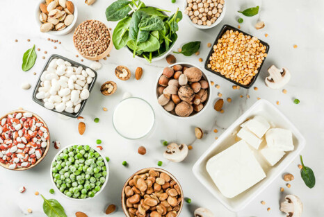 ABC der veganen Alternativen