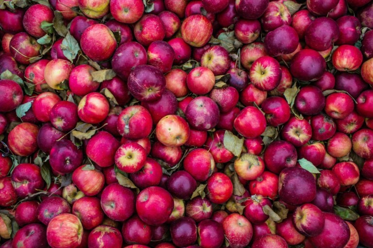 Viele Äpfel