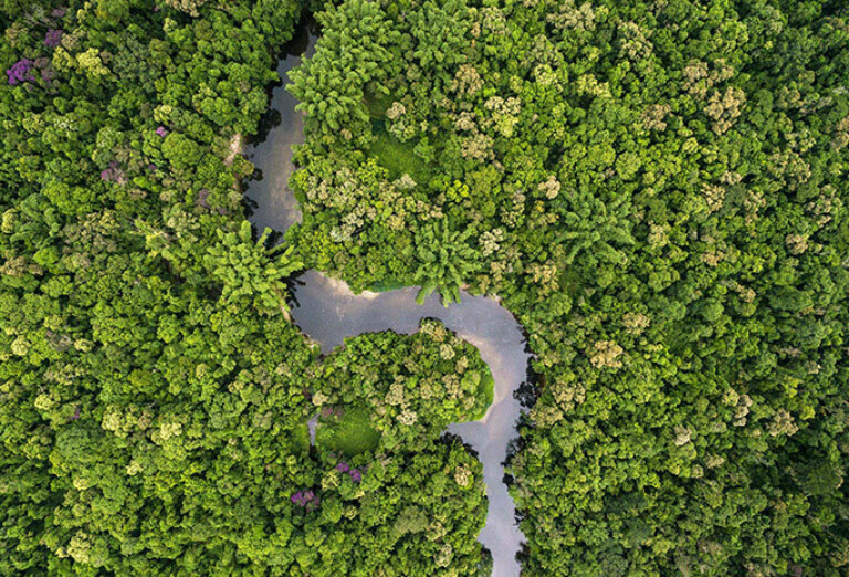 Simply v climate partner
