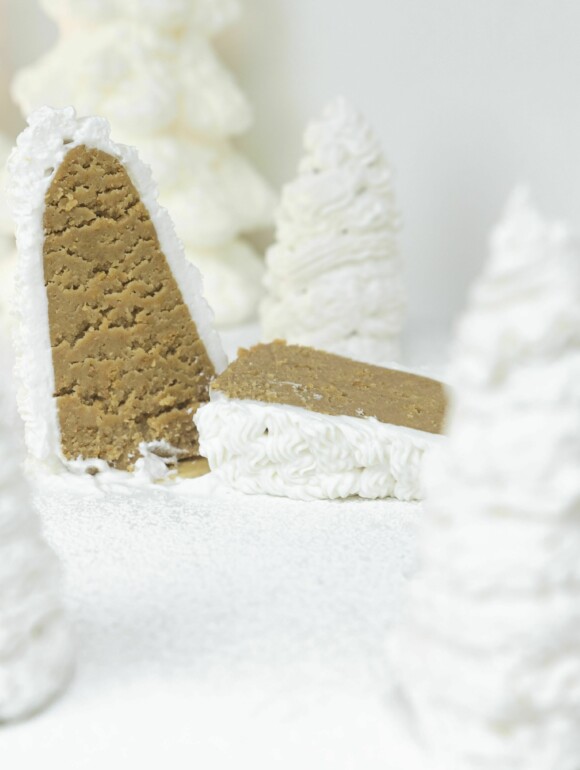 Winterliche Tannenbaum Cake Pops