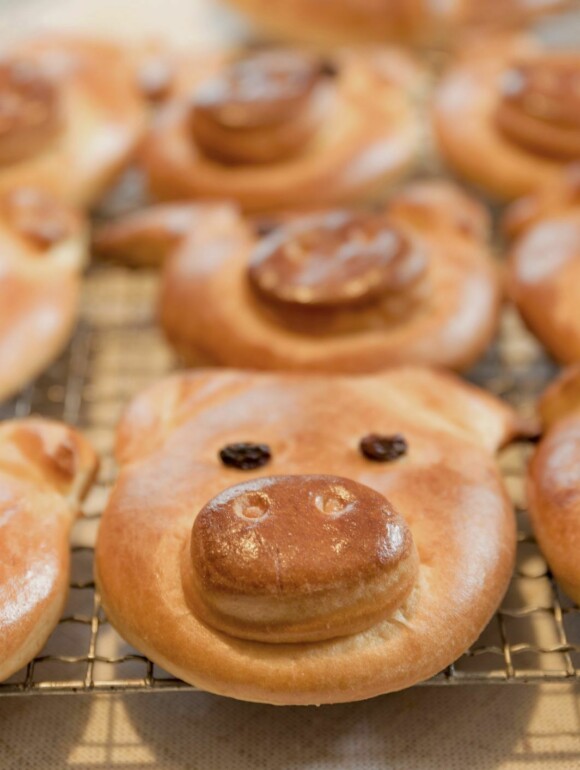 Vegane Glücksschweinchen