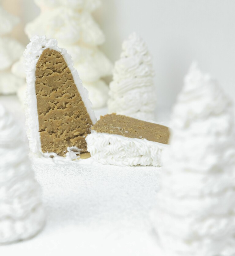 Winterliche Tannenbaum Cake Pops